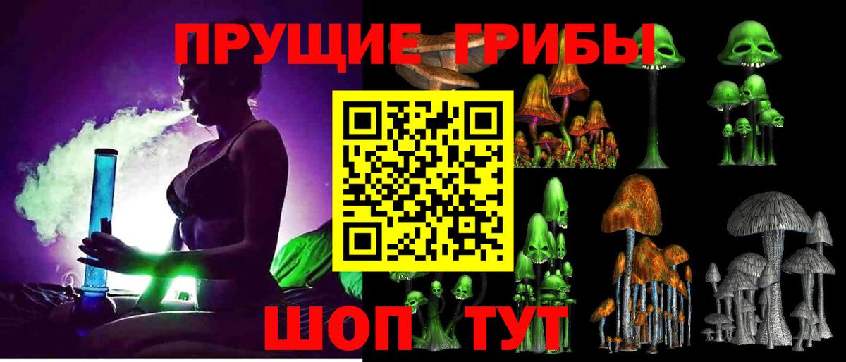 Псилоцибиновые грибы Cubensis Удомля